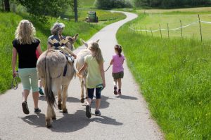 Wanderung mit Eseln und Kindern in Steinen