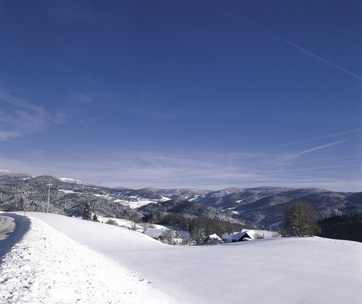 Blick auf Sallneck im Winter